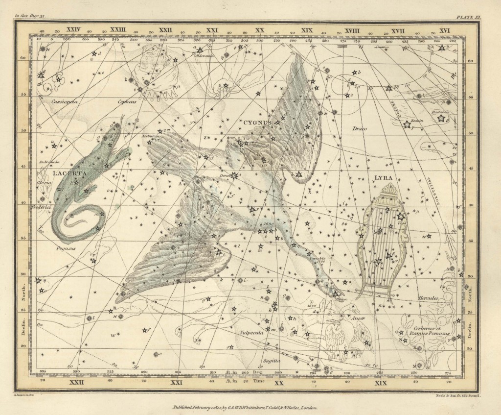 Alexander Jameison, Cygnus, Plate 11, Constellation, Cygnus-X